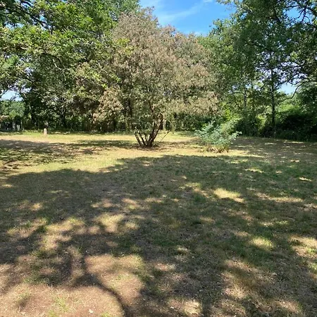 Uniquement Pour Les Amoureux De La Nature, Charmant Bungalow Entre Ocean, Estuaire Et Vignes, Toutous Bienvenue Saint-Vivien-de-Medoc